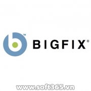 BigFix