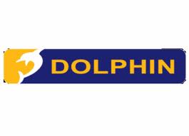 Dolphin Computer Access